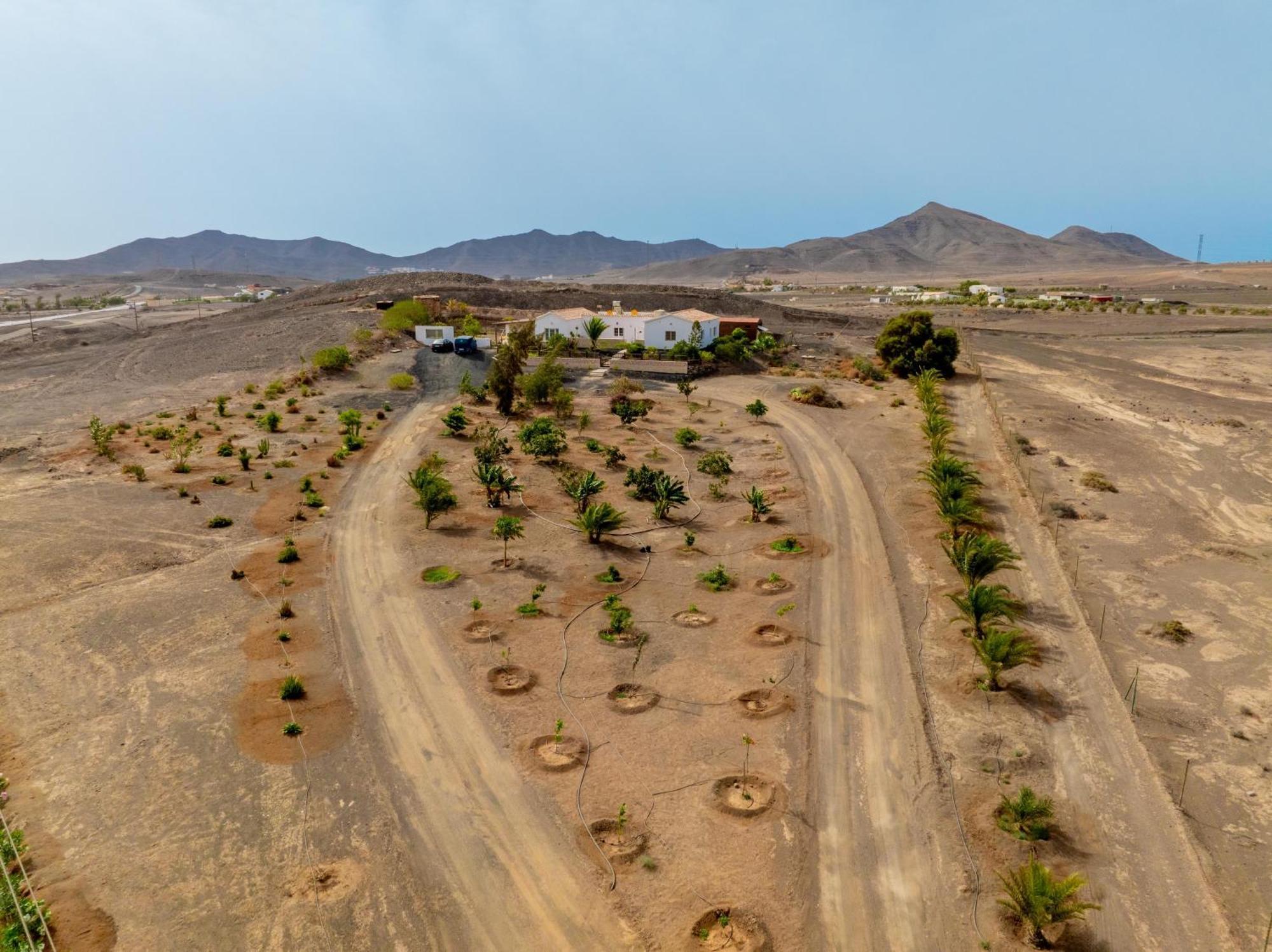 Casa Amaya - Spacious House With Pool, Large Garden, Bbq, 2 Terraces, And Ideal Location El Charco  Exteriör bild